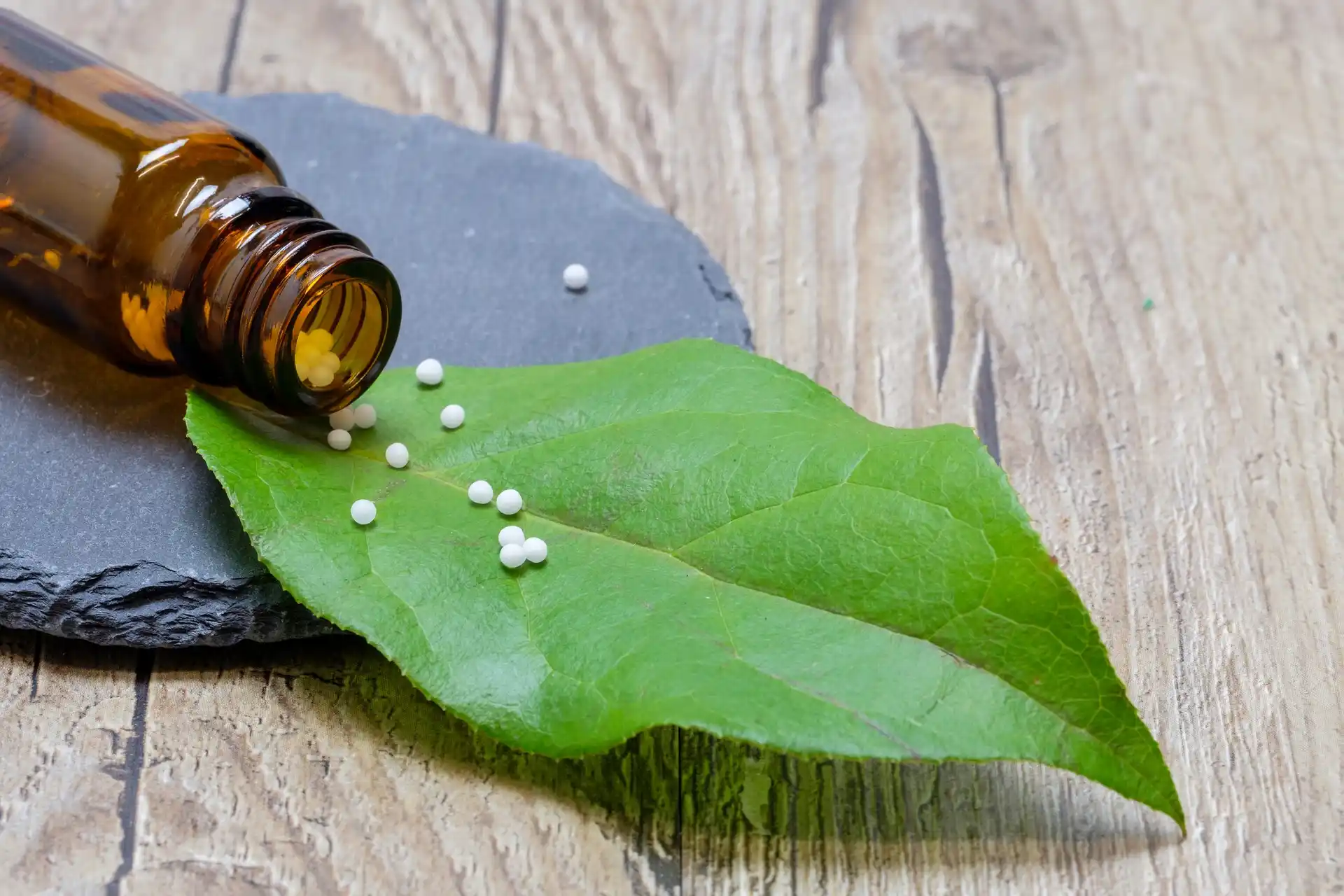 Homeopathie header afbeelding | Natuurgeneeskunde voor dieren